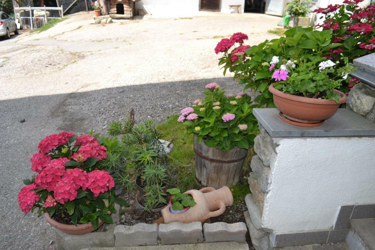 Gruberhof * Rodengo